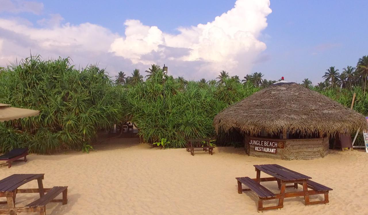 Jungle Beach Ahungalla Εξωτερικό φωτογραφία